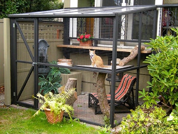 catio cat enclosure-exterior